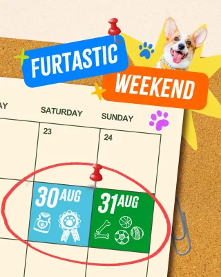 Image 26: Get ready for a fur-bulous weekend of fun, fitness, and furry festivities! 🐶 30 Aug – Snip, stretch, and sniff it out! Catch a lively dog grooming competition, pick up grooming tips, then have fitness fun with your furry bestie 🧘‍♂️🐕 🎤 31 Aug – It’s showtime for your star pup! Enjoy a paws-itively entertaining day filled with play, talent shows, and live music vibes 🎶 🦴 Both Days – Don’t miss action-packed shows with Master Dog Trainer Patrick Wong, and sniff out the best in treats, toys, and local pet brands at our pets marketplace 🛍️🐾 It’s going to be a howl-lot of fun - register now and fetch the full event details via LinkinBio! #TanglinMallSG #GreatRewardsSG